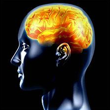 yellow brain